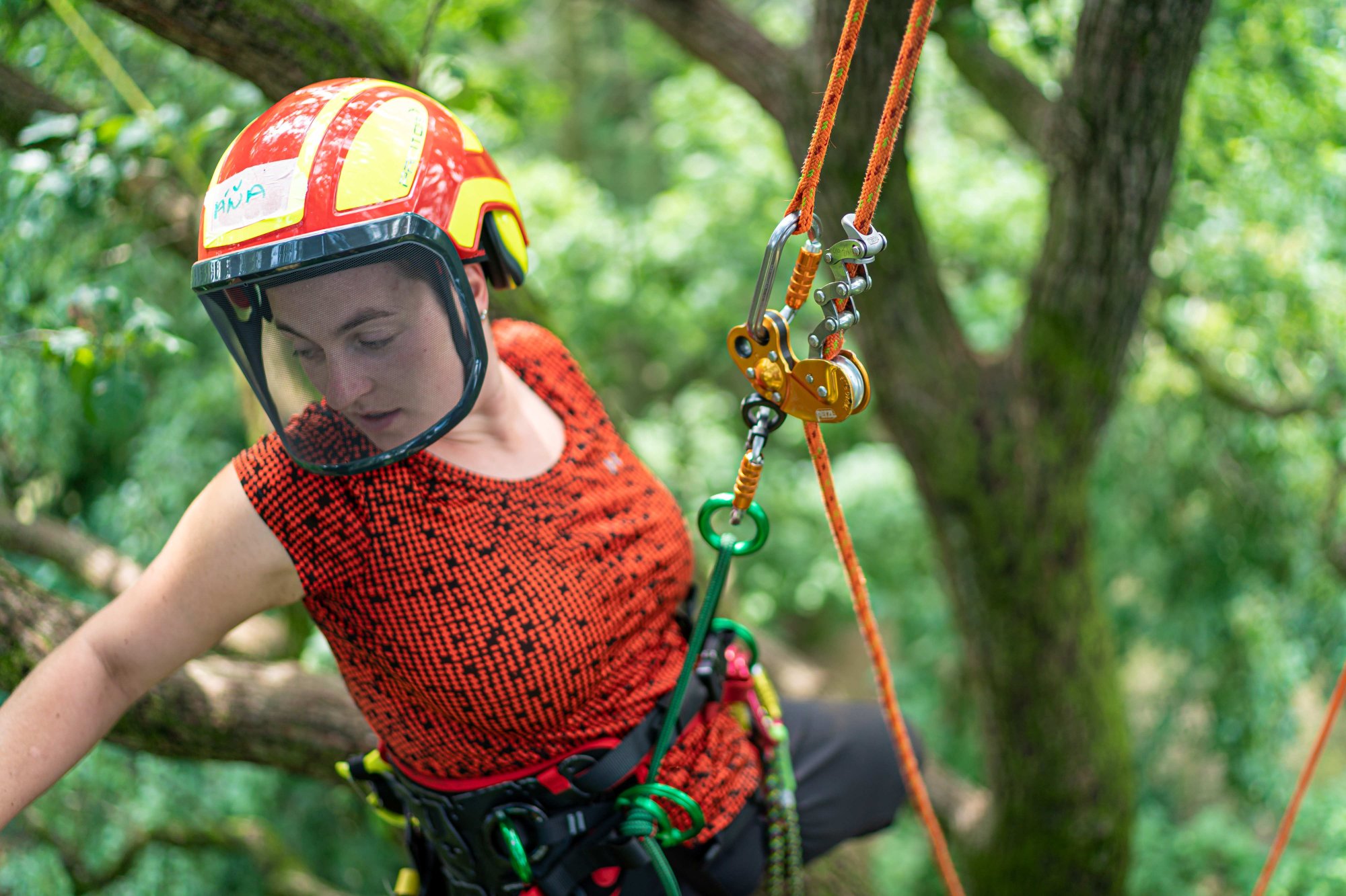 Pracovní lano pro arboristu: Jak vybrat to správné pro bezpečnou práci ve výškách