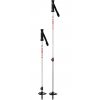 MSR trekking poles DYNALOCK TRAIL POLES