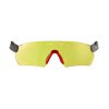 Protos Integral safety glasses