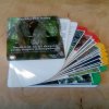 Wood rot fungi handbook