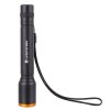 LIFESYSTEMS Intensity 480 Hand Torch