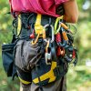 PETZL arborist harness SEQUOIA 2019