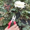 PRUNING SHEARS S250 7