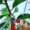 PRUNING SHEARS S250 8