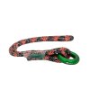 ringloop 2
