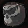 Protos Integral helmet ARBORIST SKULL with magnetic strap