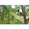 Gift voucher for Experiential tree climbing