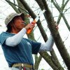 Silky folding saw Gomboy Curve 210-8