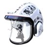 Protos Integral helmet FOREST Arbanksy