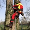 Francital non-cut boots ARBORIST XLIGHT SRT