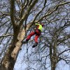 Francital non-cut boots ARBORIST XLIGHT SRT