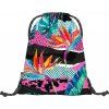 244122 1 baagl sacek skate fresh