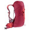 3421024 5598 ACLite30 cherry masala D 02