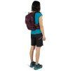390010 3 osprey raven 14 aprium purple