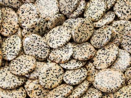 Placicky Jaspis dalmatin