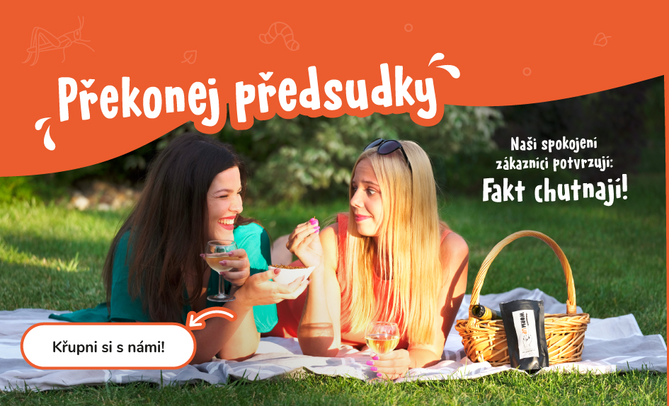 Předsudky