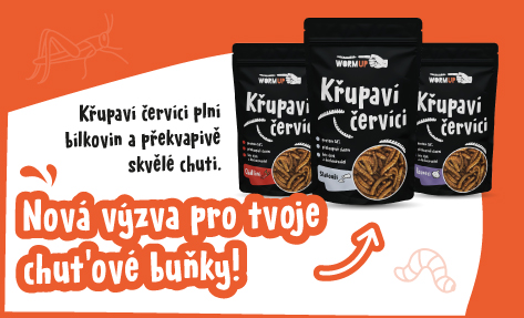 vyzva