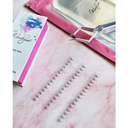 5Dlashes