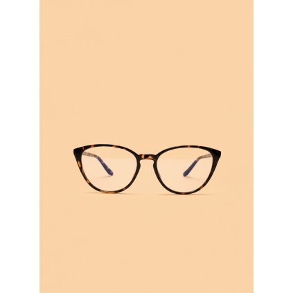 downloaded file (28)