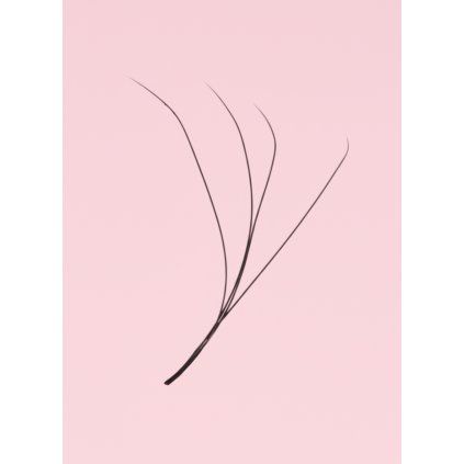 Wowbyme mihalnice Twistlock 4DW