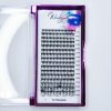 Wowbyme AirSilk eyelashes STARSPIRE mix