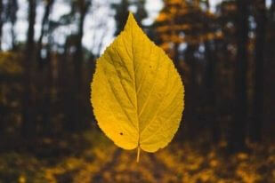 Prozradíme vám 3 trendy barvy letošního podzimu, které zaručeně oživí váš šatník