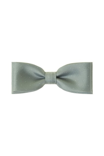 Motýlek JUNIOR 576-1996-0 (Velikost 10 cm)