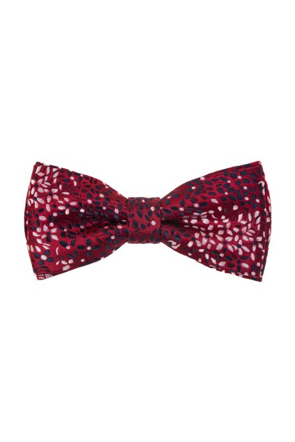 Motýlek s kapesníčkem 575-22103-0 (Velikost 12,5 cm)