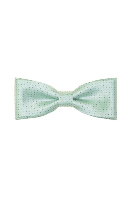 Motýlek JUNIOR 576-22318-0 (Velikost 10 cm)