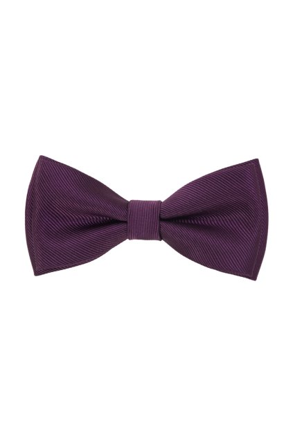 Motýlek s kapesníčkem 575-22410-0 (Velikost 12,5 cm)