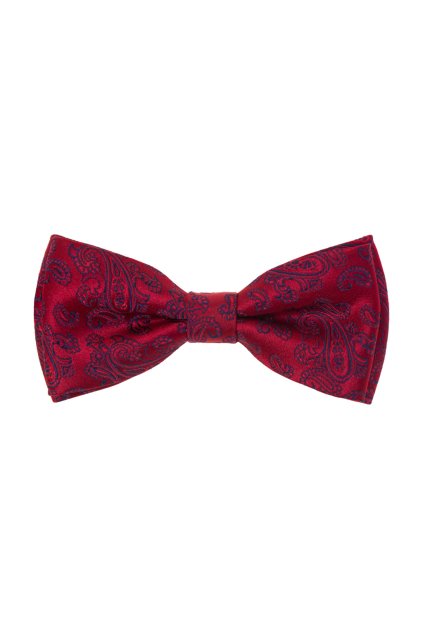 Motýlek s kapesníčkem 575-22420-0 (Velikost 12,5 cm)