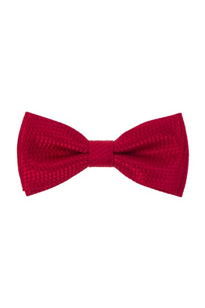 Motýlek s kapesníčkem 575-22429-0 (Velikost 12,5 cm)