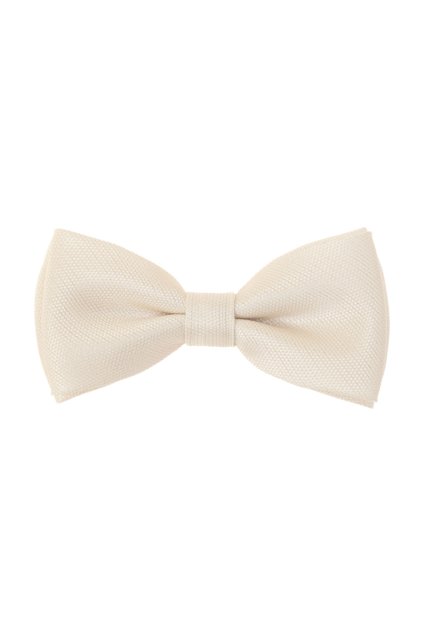 Motýlek s kapesníčkem 575-22523-0 (Velikost 12,5 cm)