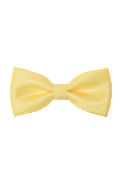 Motýlek s kapesníčkem 575-9929-0 (Velikost 12,5 cm)