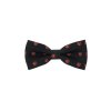 Motýlek s kapesníčkem 575-19103-0 (Velikost 12,5 cm)