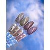 Magnetický gel lak LunaMoon Cat Eye №209