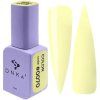 DNKa Color Gel Polish 0070 12 ml gel lak