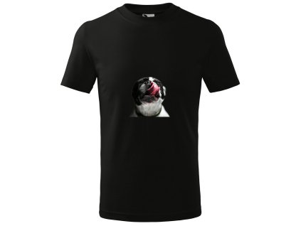 kombinace c912c799 57d3 467b a8b7 b9ba4084e115