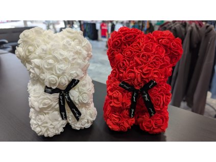 WhatsApp Image 2026 01 22 at 13.07.48