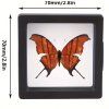 ​3D Levitující Rámeček pro Sběratelské Předměty
