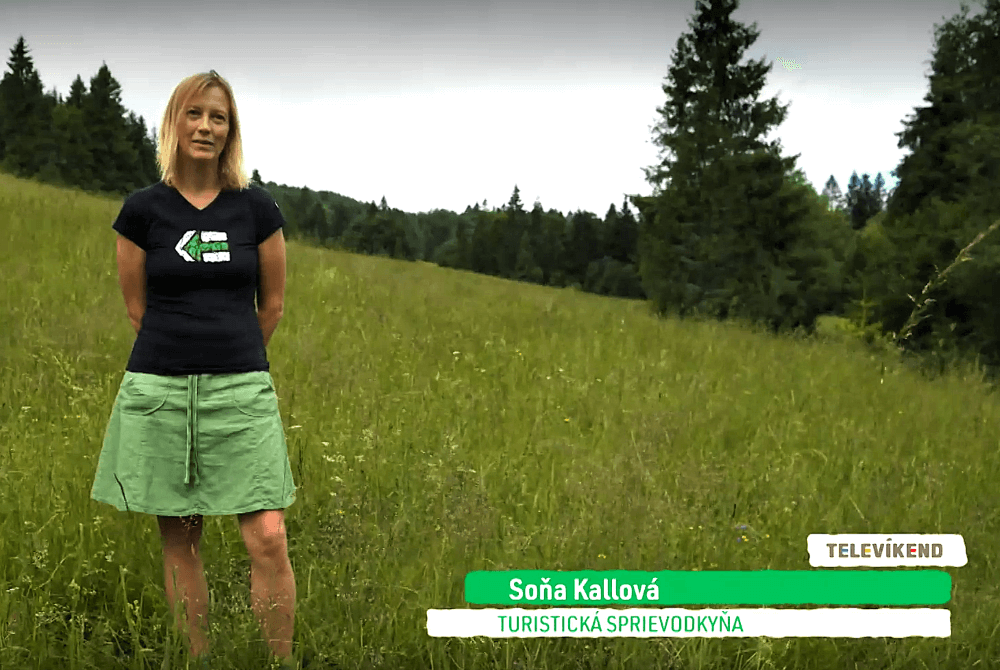 Sona-Kallova_Televikend