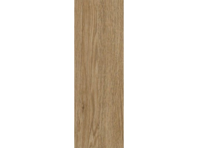 Coriander Oak