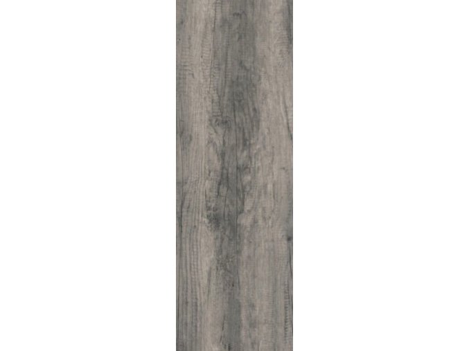 Valley Oak