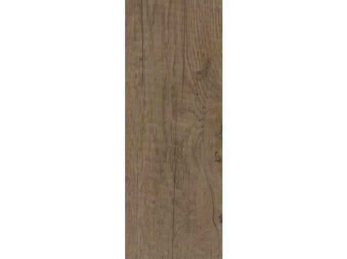 Mountain Oak