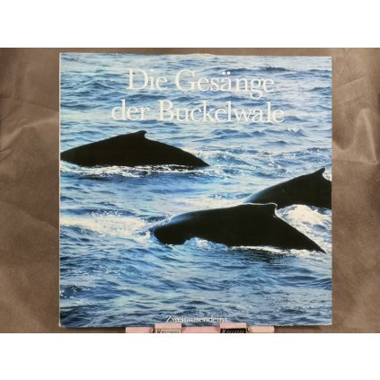 Buckelwale – Die Gesänge Der Buckelwale