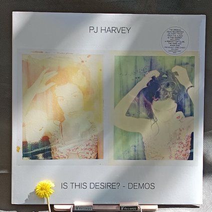 PJ Harvey – Is This Desire? - Demos LP