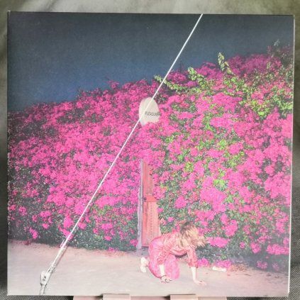 Feist – Pleasure 2LP