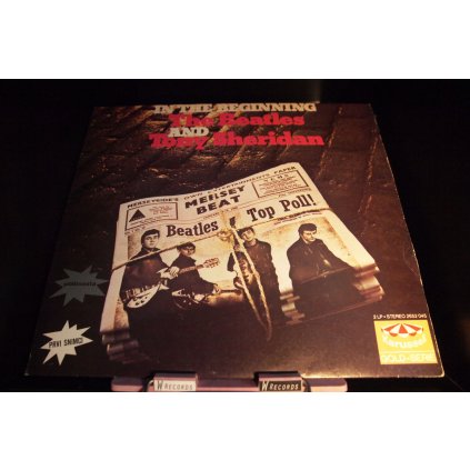 The Beatles - In The Beginning 2LP