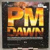 P.M. Dawn – A Watcher's Point Of View (Don't Cha Think) 12"