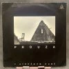 Prouza – V Otrhaném Domě LP